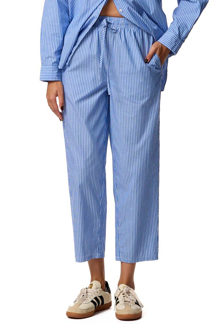 Zatybay Carrot Cut Trousers in Aqua Stripes