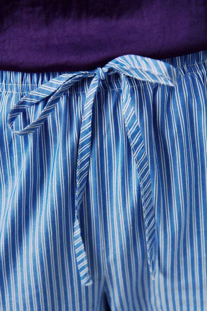 Zatybay Carrot Cut Trousers in Aqua Stripes