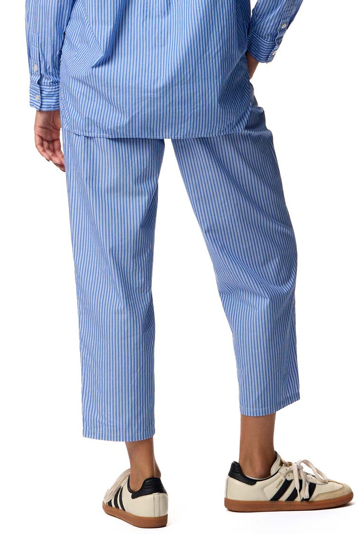 Zatybay Carrot Cut Trousers in Aqua Stripes