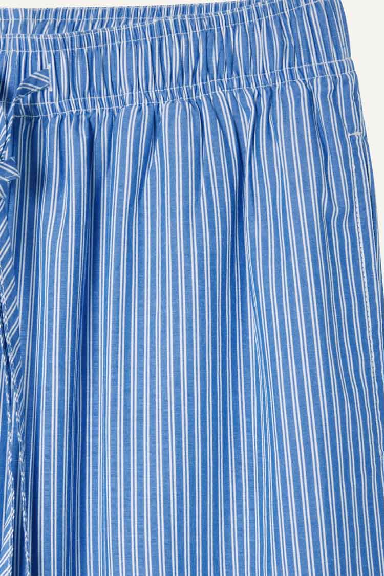 Zatybay Carrot Cut Trousers in Aqua Stripes